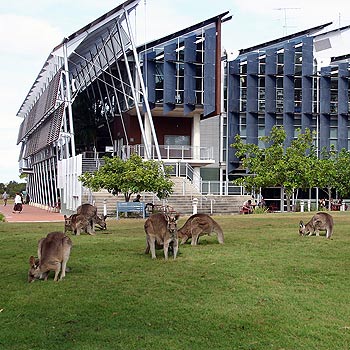 Du học Úc, Melbourne - Kinh doanh, Công nghệ thông tin & Du lịch - University of the Sunshine Coast